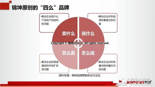 科技行业第一品牌的顶层设计与底层运营 互联网销售的制胜之道